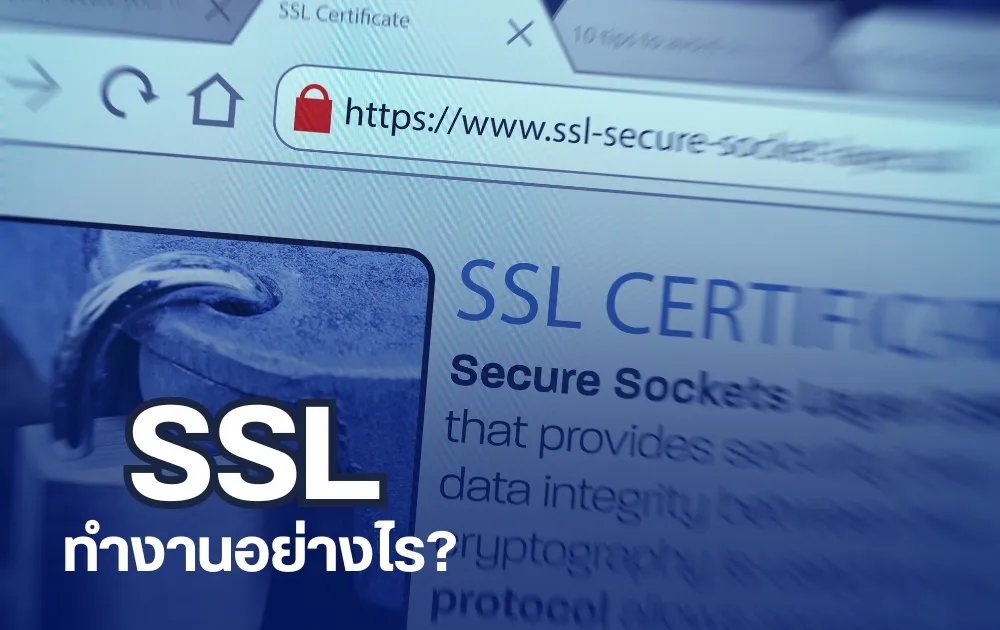 SSL คืออะไร ทำไมเว็บไซต์ต้องมี SSL - Wizdom