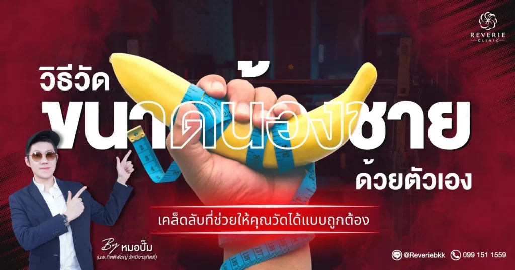 ตัวอย่างปกบทความ 3